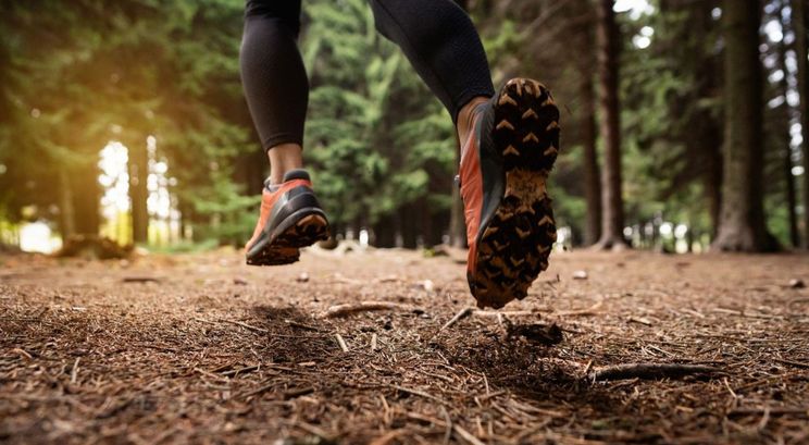 Can You Use Trail Running Shoes on the Road: Uncover Truths